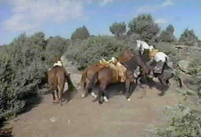 Legend Begins - Toronado rears to spook the other horses.